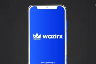 Top FAQs on the WazirX Crypto Exchange