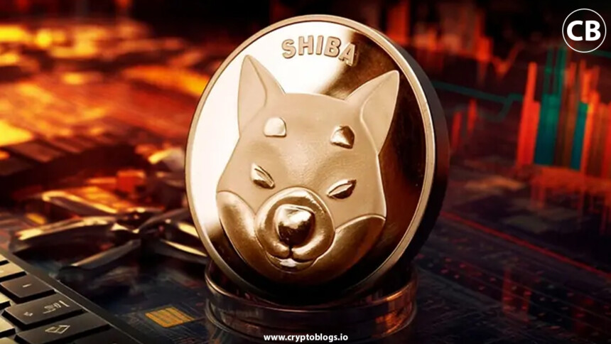 Cryptocurrency Exchanges Anchors of Innovation in the Shiba Inu Era