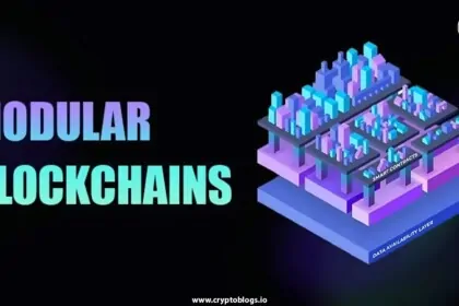 Breaking Down the Complexity A Comprehensive Guide to Modular Blockchains