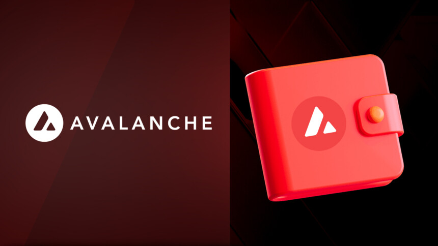 Best Avalanche Wallets