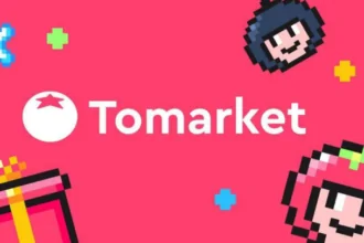 Tomarket's Secret Daily Combo For November 11