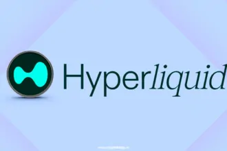 Guide to Hyperliquid DEX How to use it