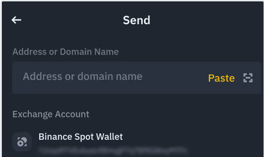 paste the recipient’s wallet address