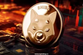 Cryptocurrency Exchanges Anchors of Innovation in the Shiba Inu Era