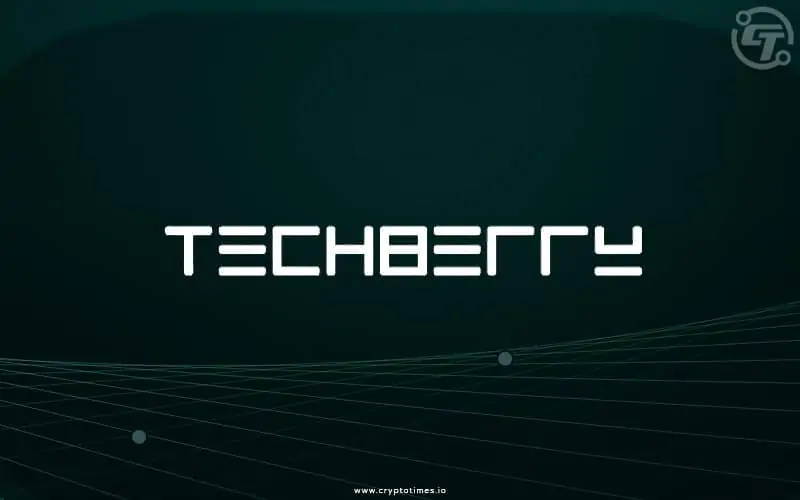 Techberry Review 1