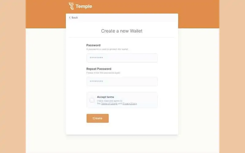 Set password for your wallet