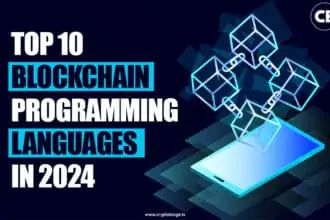 Best blockchain programming languages